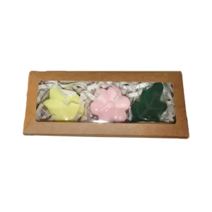 Pack Regalo Botánico – 3 Jabones Artesanales